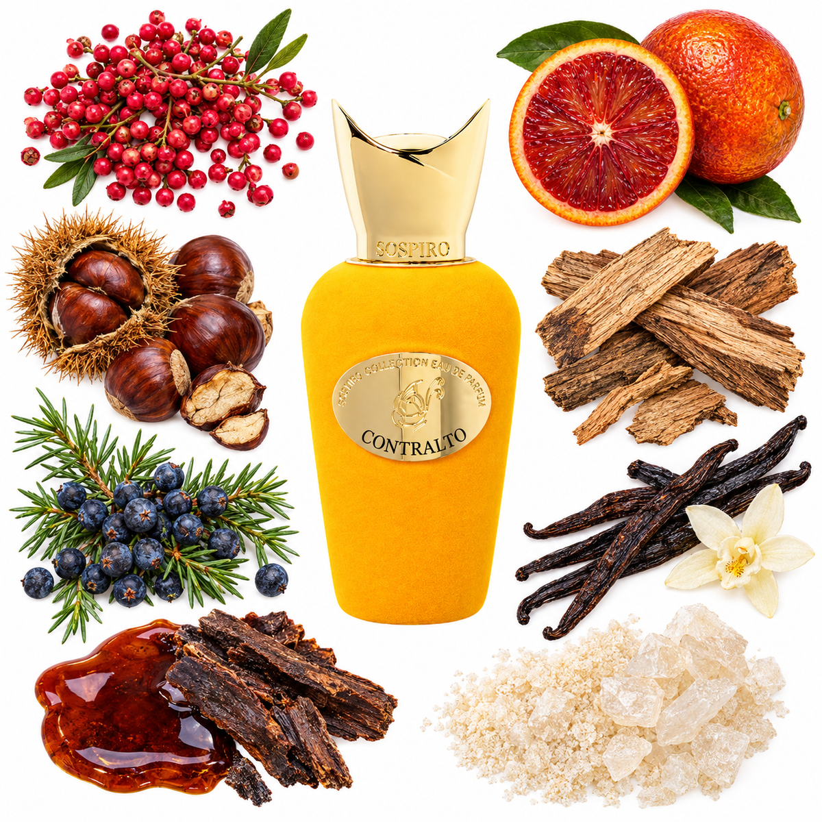 Sospiro Contralto Eau de Parfum with scent notes