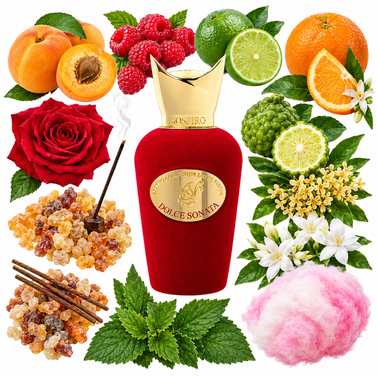 Sospiro Dolce Sonata Eau de Parfum with scent notes
