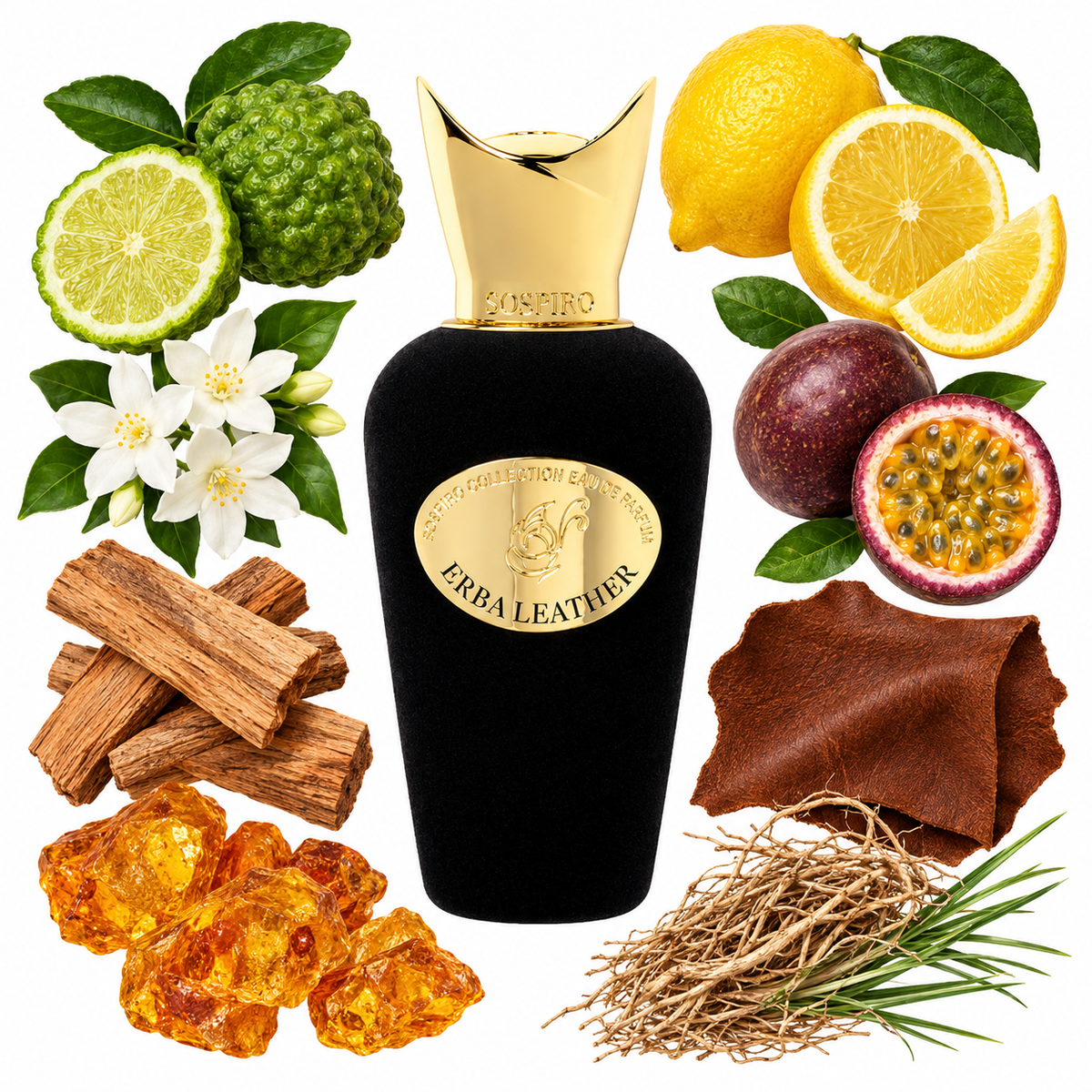 Sospiro Erba Leather Eau de Parfum with scent notes