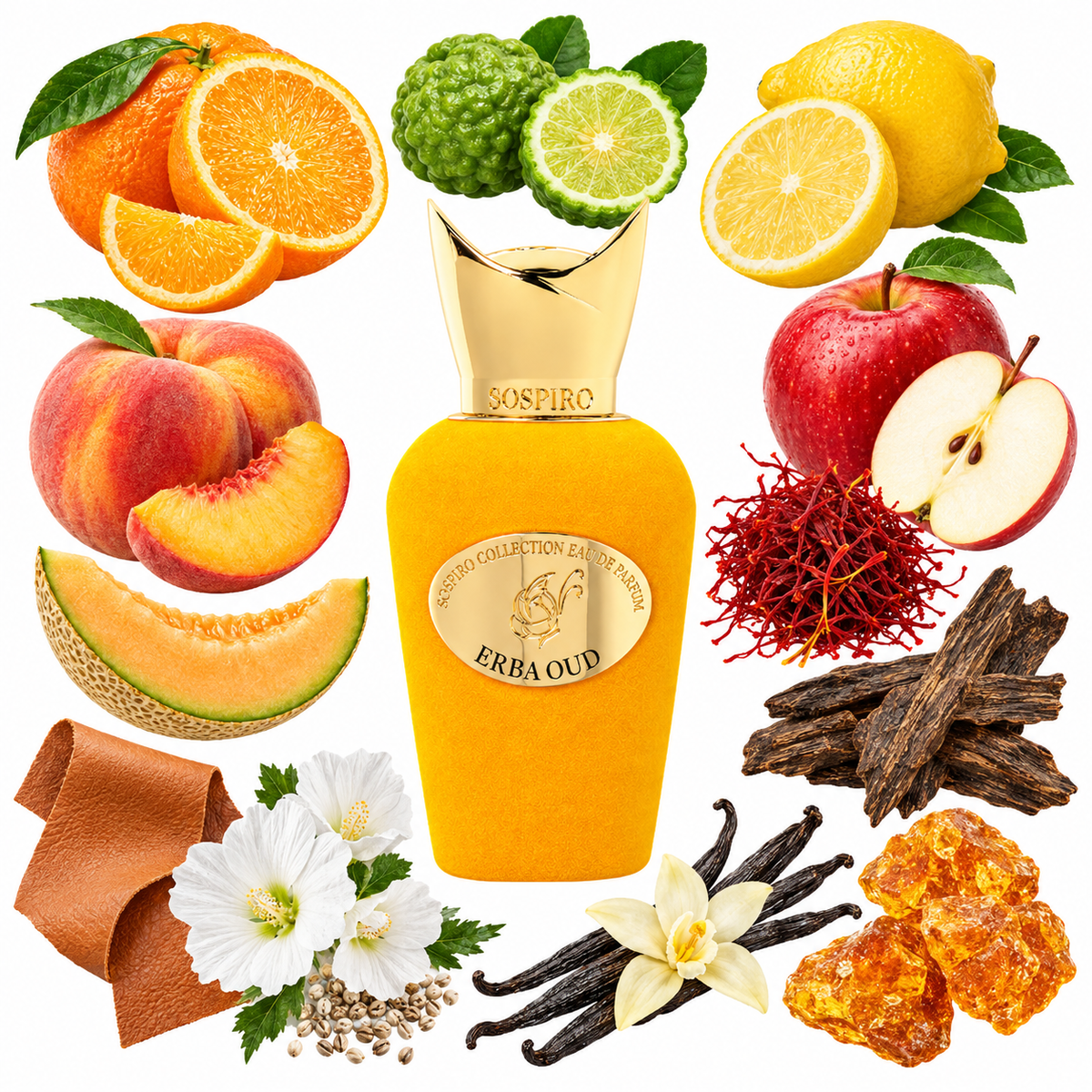 Sospiro Erba Oud Eau de Parfum with scent notes