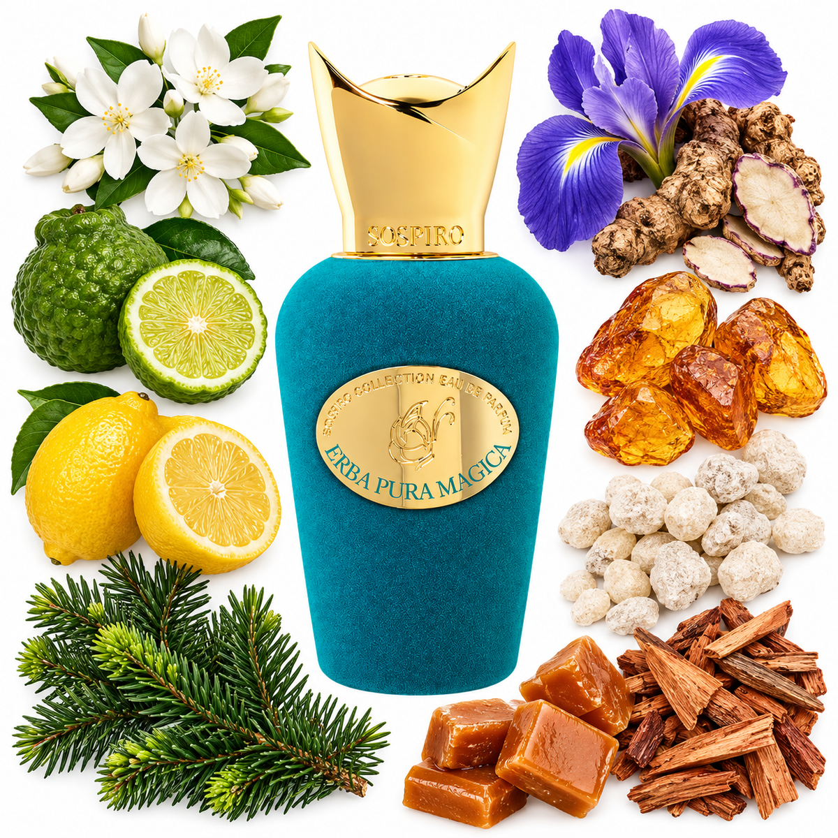 Sospiro Erba Pura Magica Eau de Parfum with scent notes