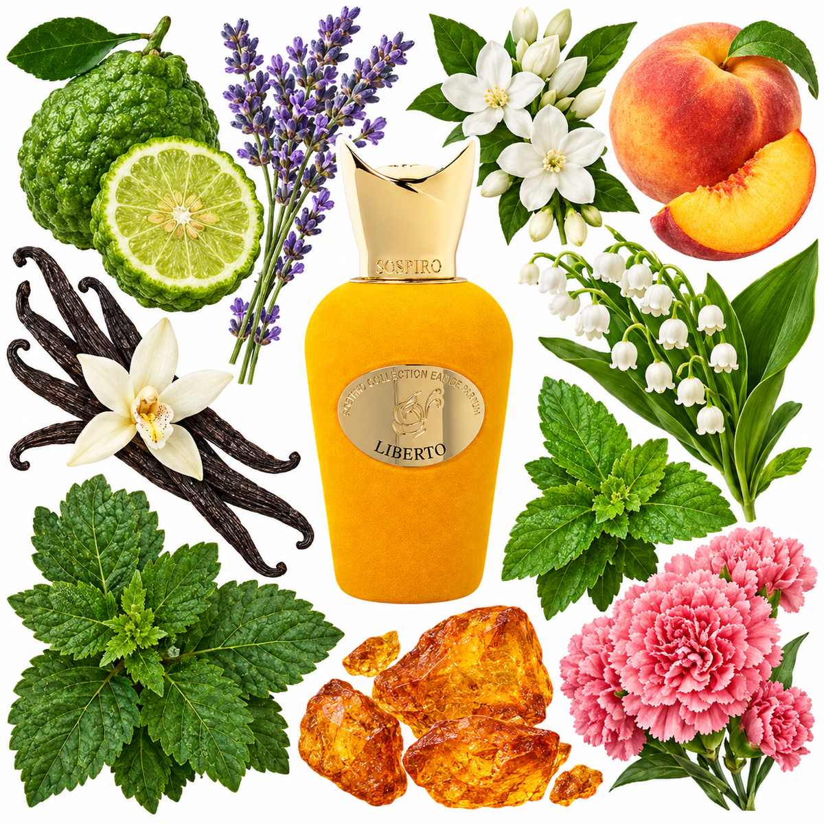Sospiro Liberto Eau de Parfum with scent notes