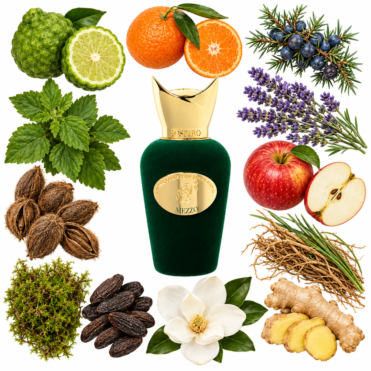 Sospiro Mezzo Eau de Parfum with scent notes