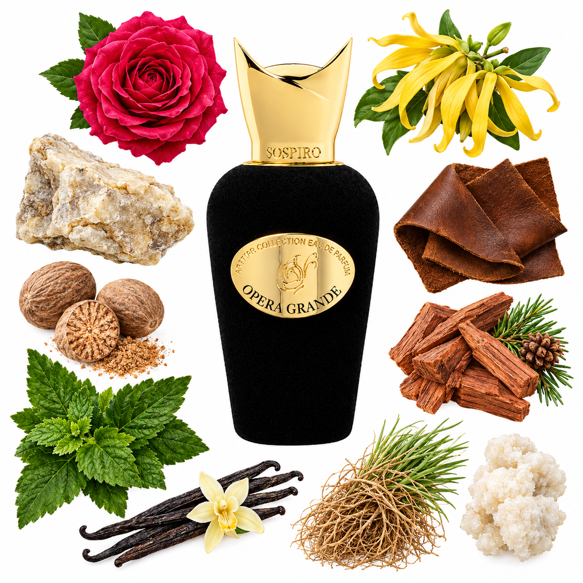 Sospiro Opera Grande Eau de Parfum with scent notes