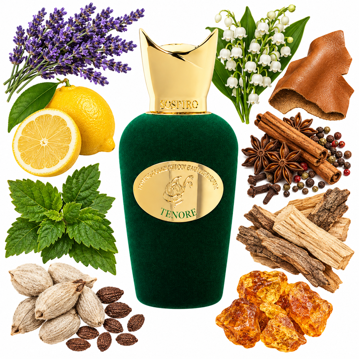Sospiro Tenore Eau de Parfum with scent notes