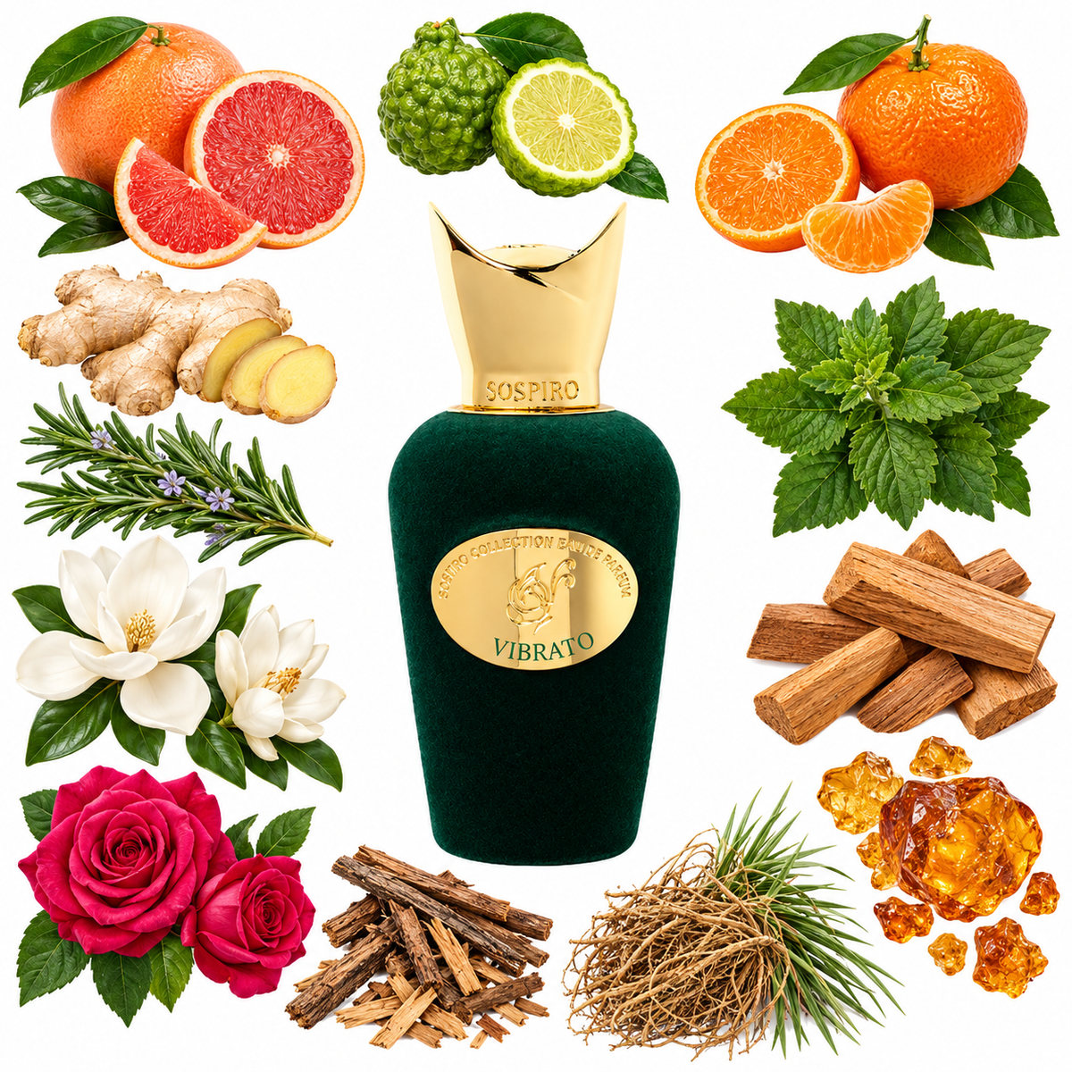 Sospiro Vibrato Eau de Parfum with scent notes