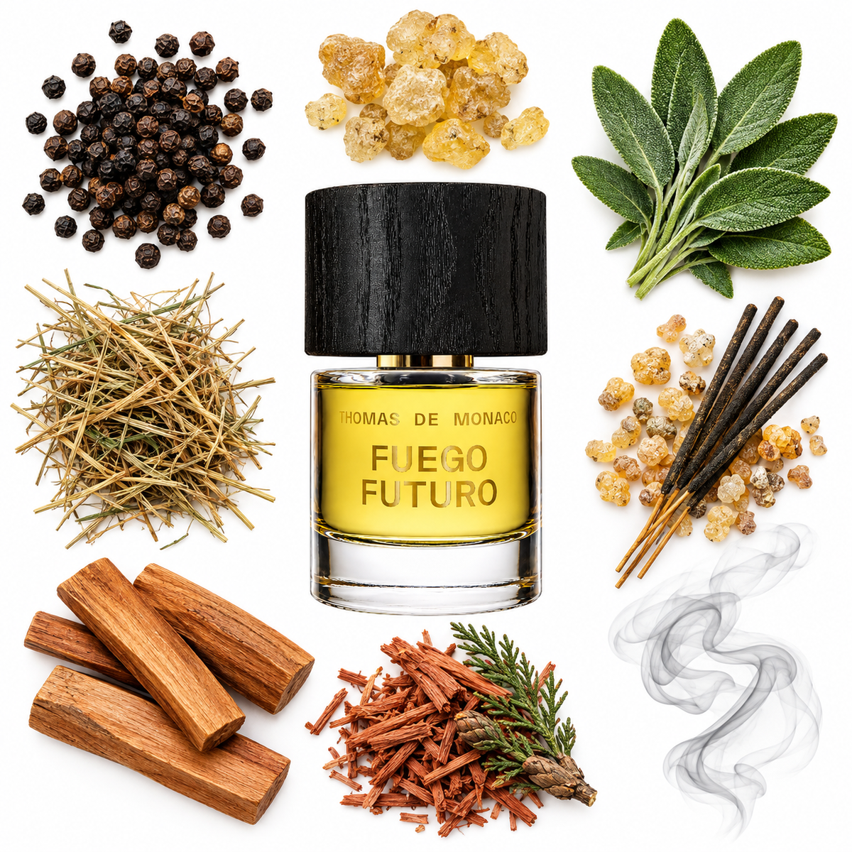 Thomas de Monaco Fuego Futuro Extrait de Parfum with scent notes