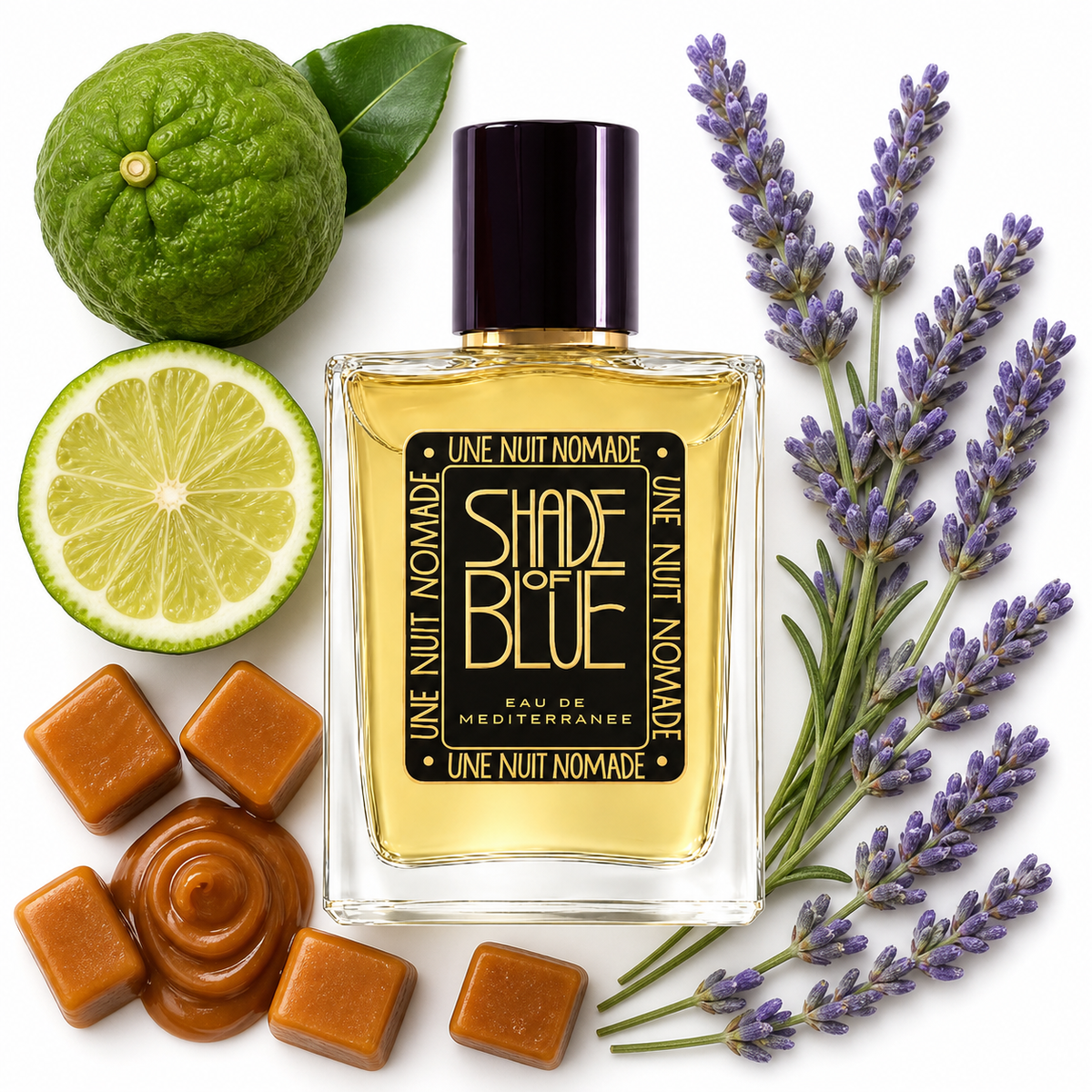 Une Nuit Nomade Shade of Blue Eau de Parfum with scent notes