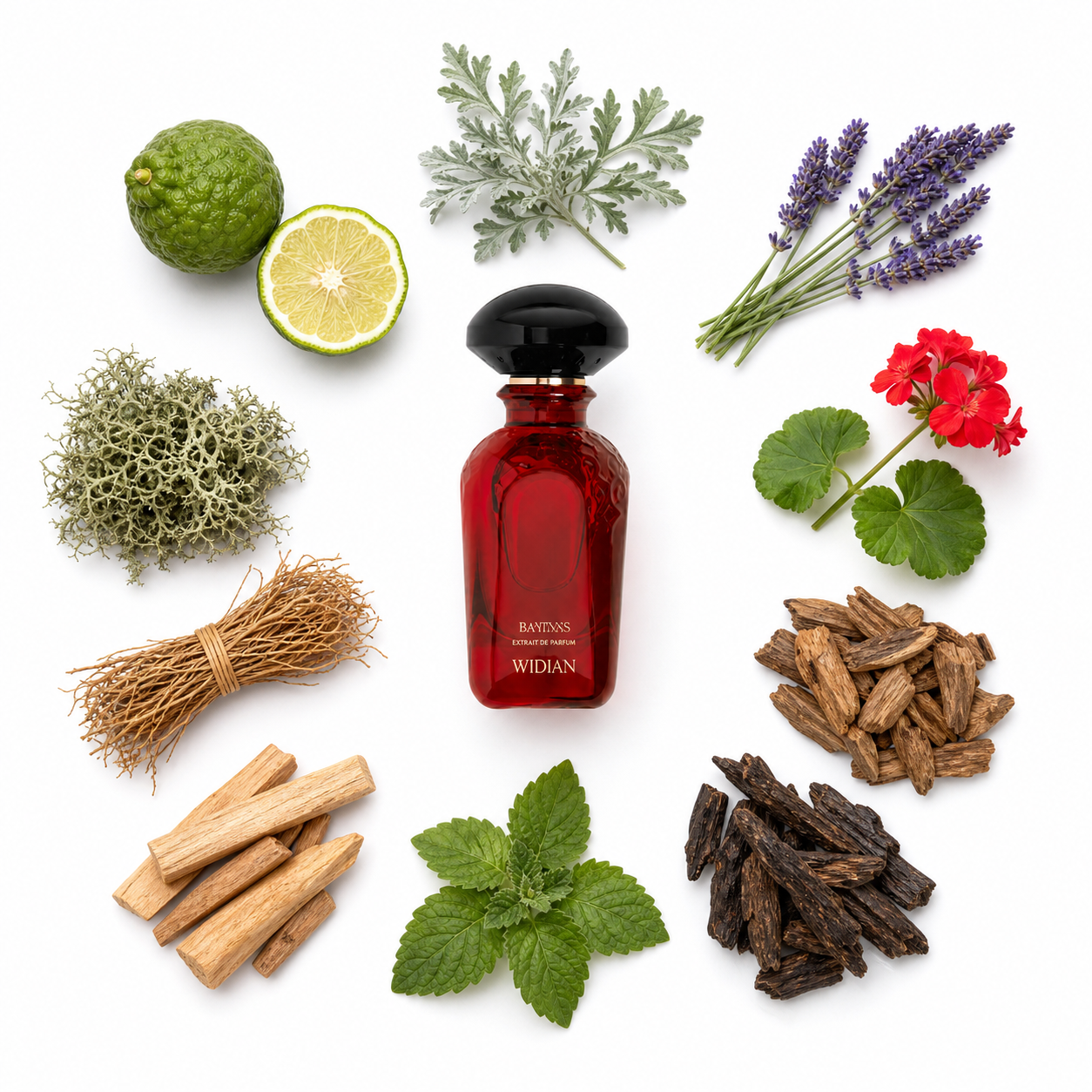 Widian Baniyas Extrait de Parfum with scent notes
