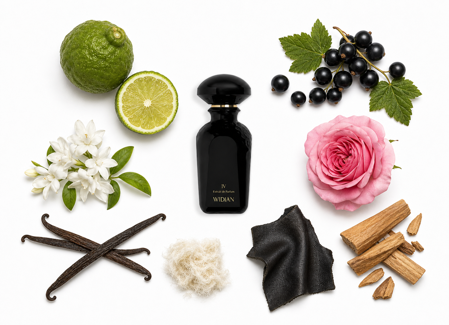 Widian Black IV Extrait de Parfum with scent notes