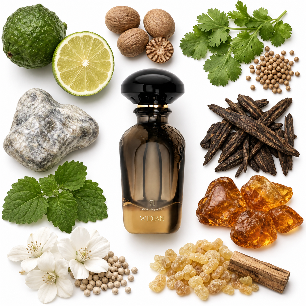 Widian Limited 71 Extrait de Parfum with scent notes