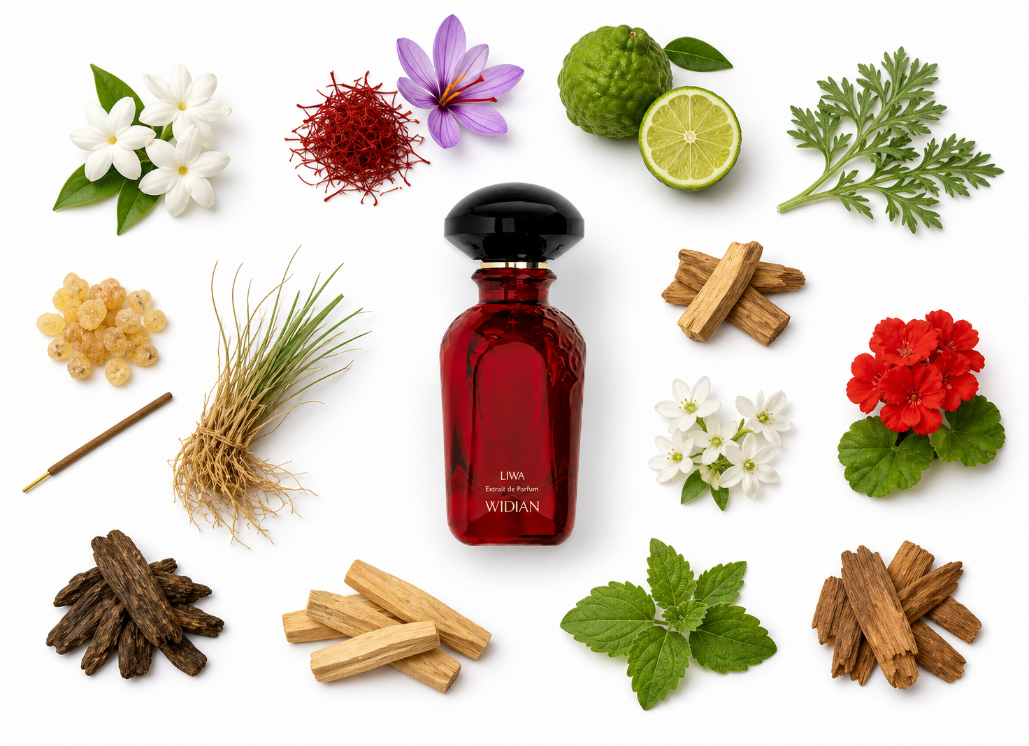 Widian Liwa Extrait de Parfum with scent notes