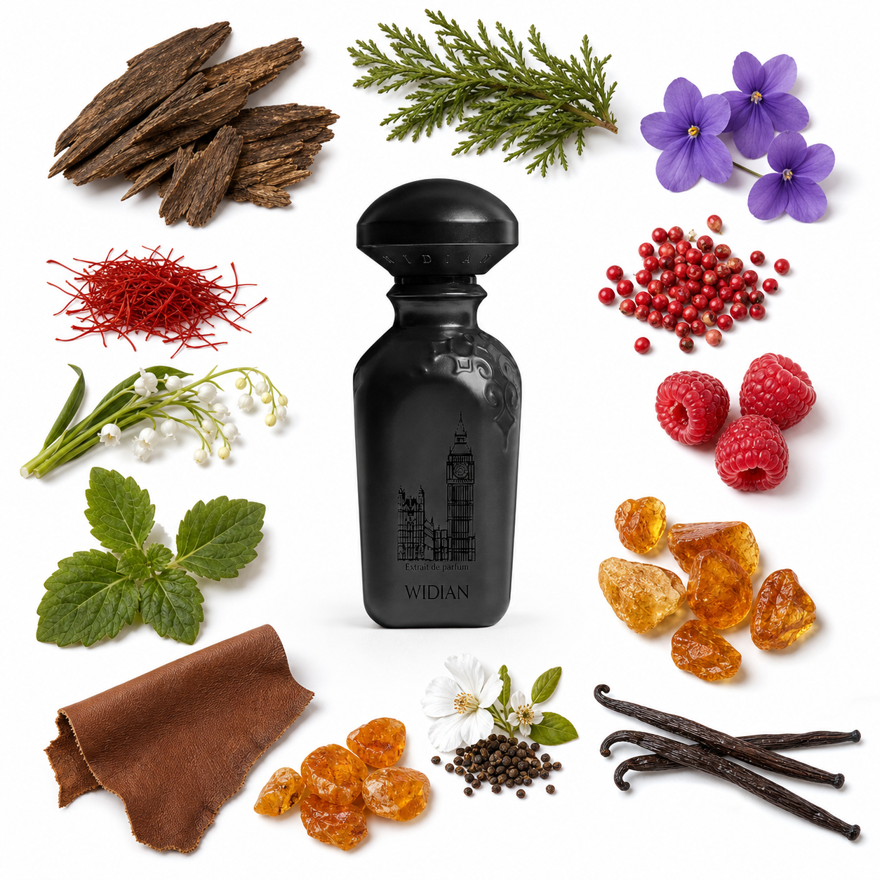 Widian London Black Extrait de Parfum 50 ml with scent notes