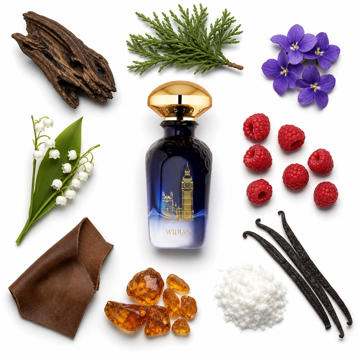 Widian London Extrait de Parfum with scent notes