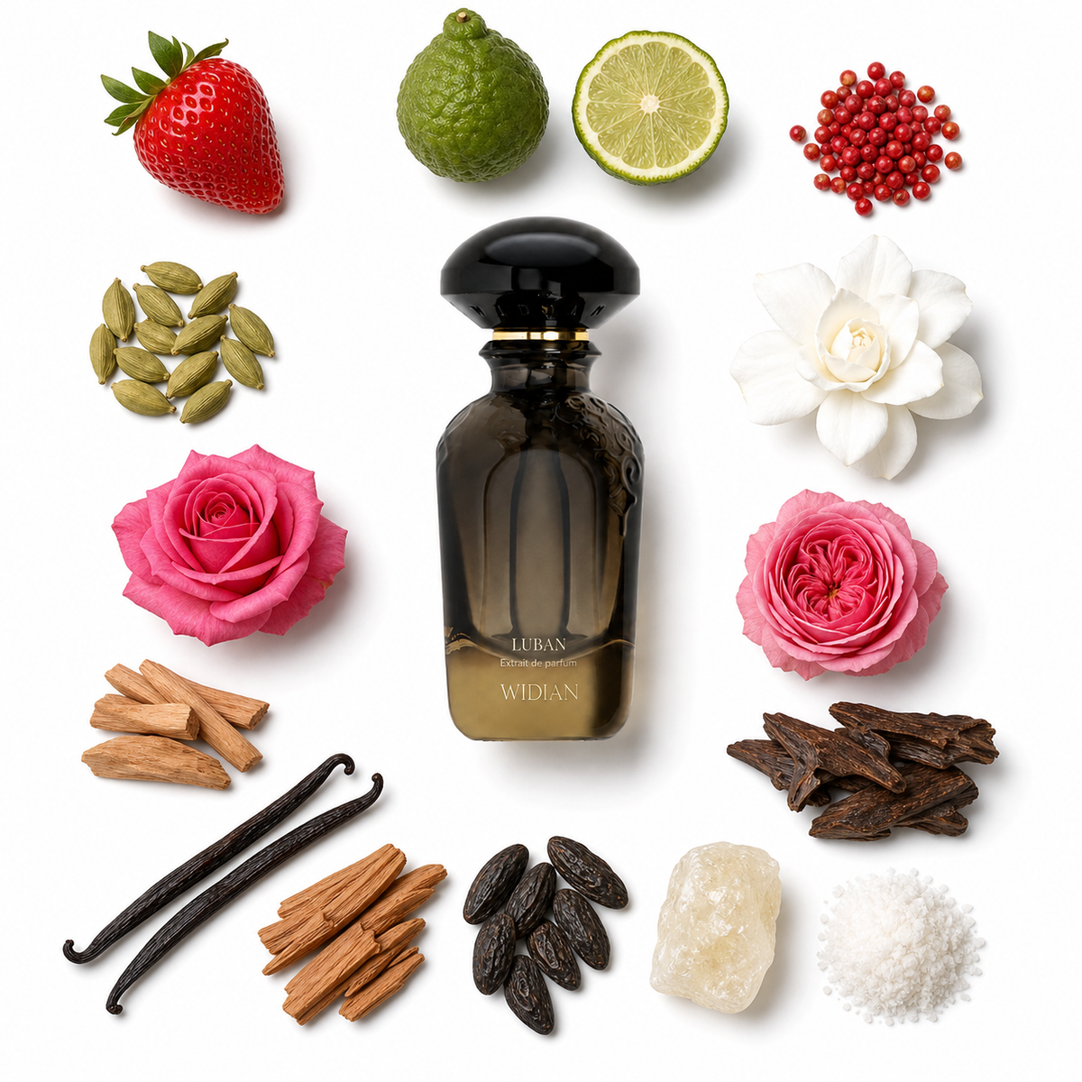 Widian Luban Extrait de Parfum with scent notes