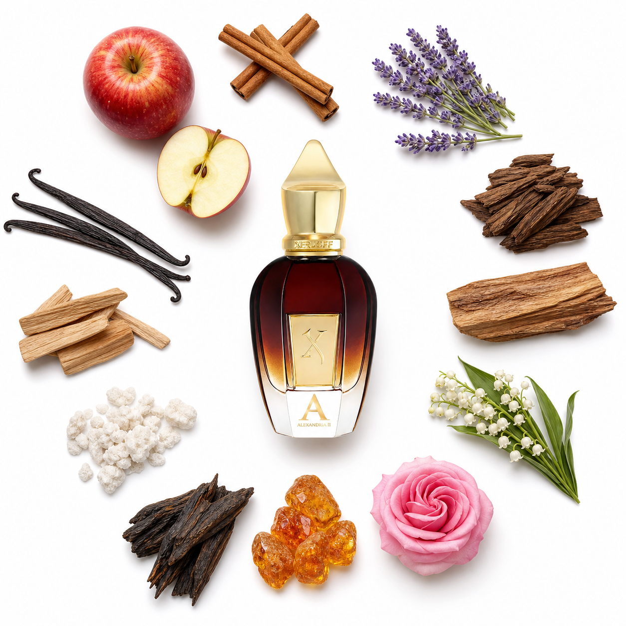 Xerjoff Alexandria II 100 ml with scent notes