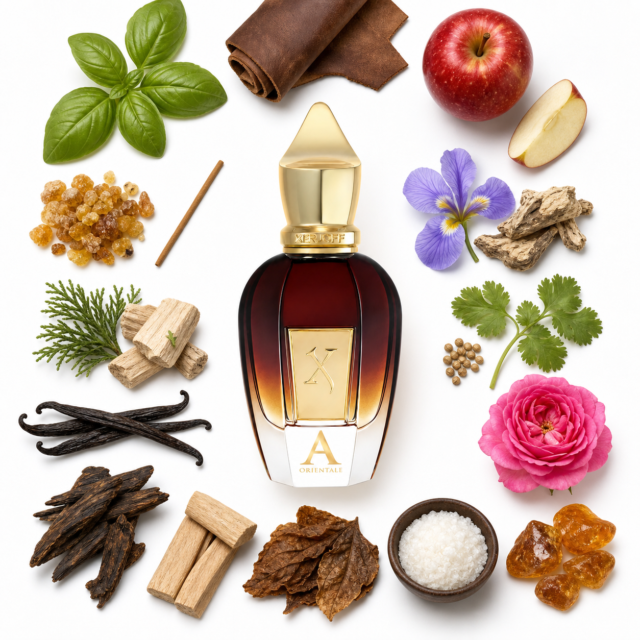 Xerjoff Alexandria Orientale 50 ml with scent notes