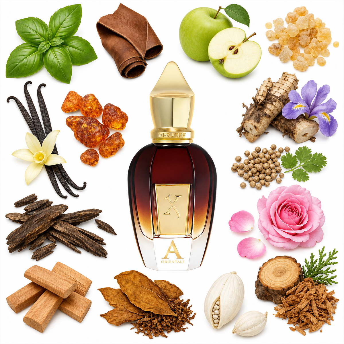 Xerjoff Alexandria Orientale with scent notes