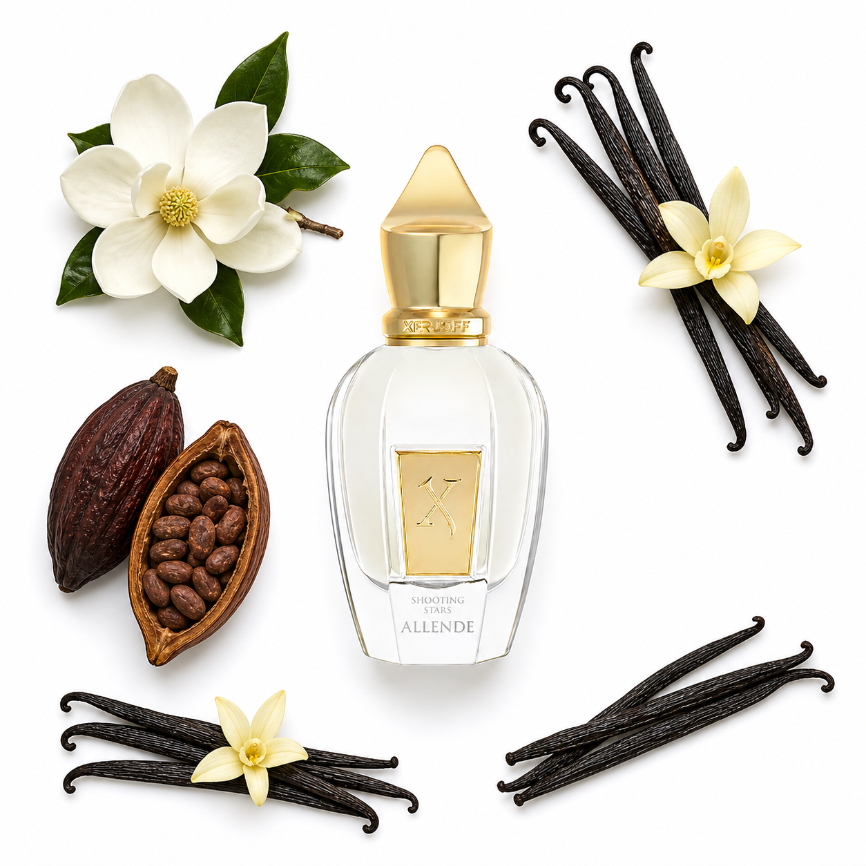 Xerjoff Allende 50 ml with scent notes