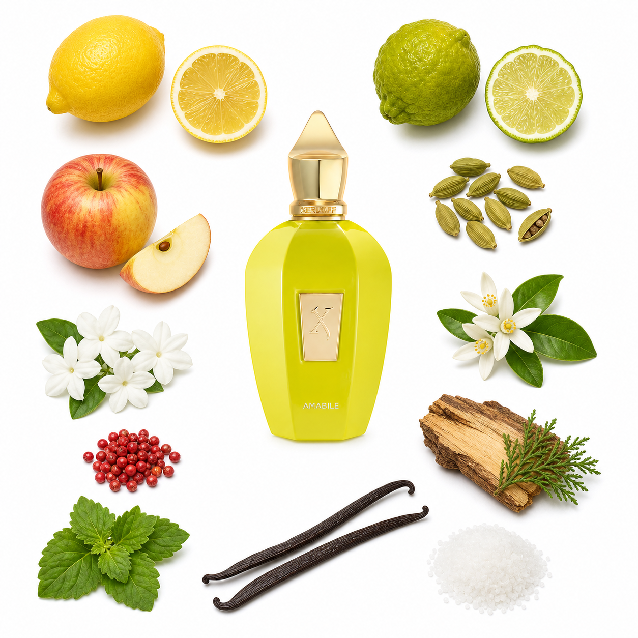 Xerjoff Amabile 100 ml with scent notes