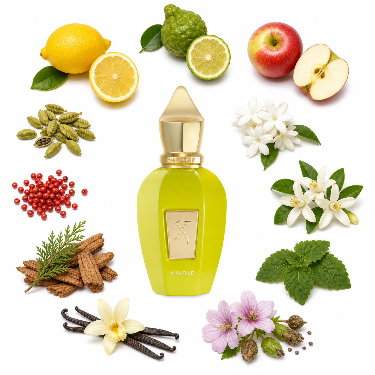 Xerjoff Amabile 50 ml with scent notes