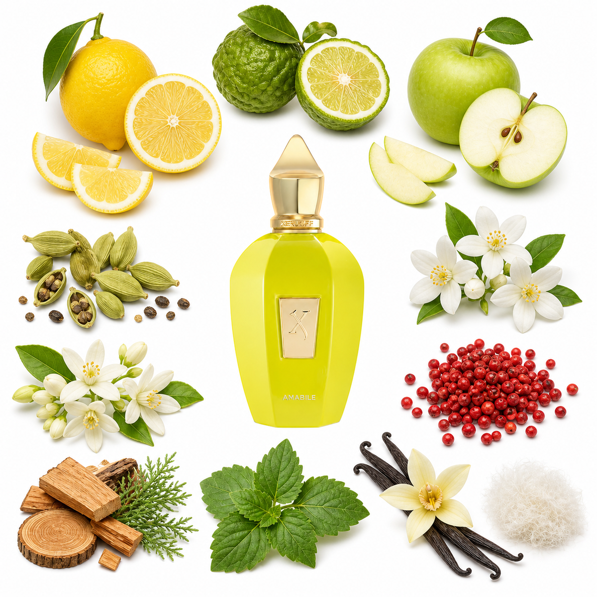 Xerjoff Amabile with scent notes