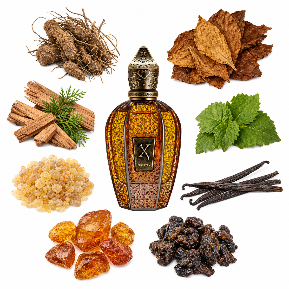Xerjoff Blue Empiryan with scent notes