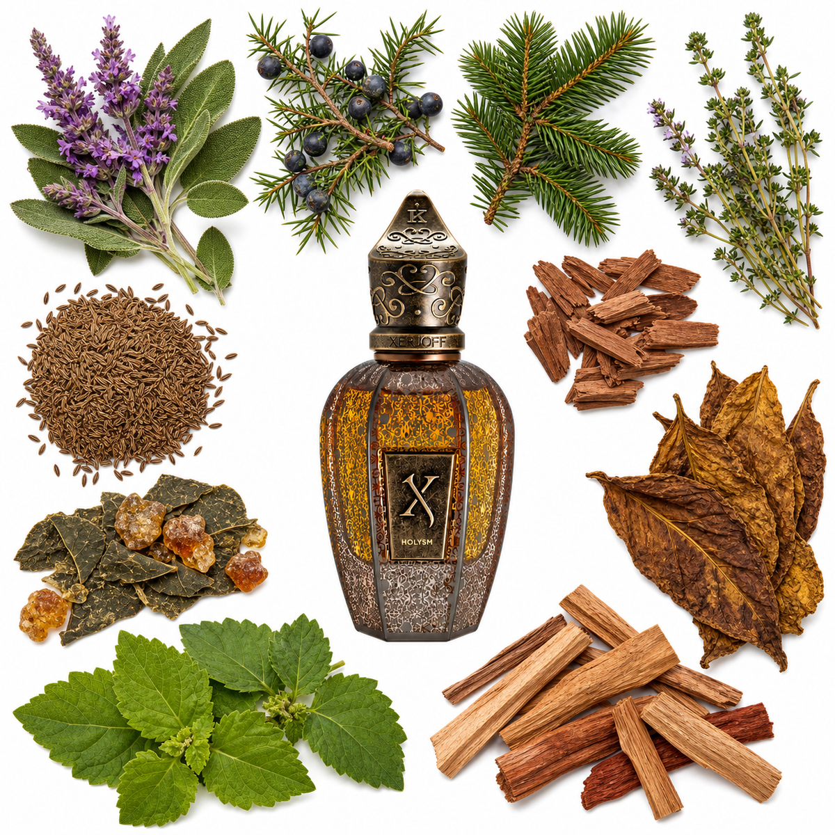 Xerjoff Blue Holysm with scent notes