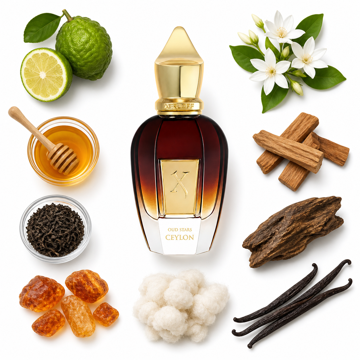 Xerjoff Ceylon 50 ml with scent notes