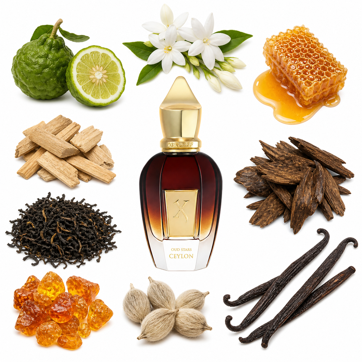 Xerjoff Ceylon with scent notes