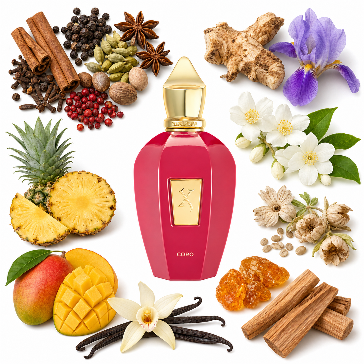 Xerjoff Coro Eau de Parfum with scent notes