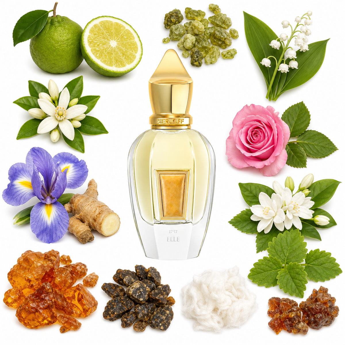 Xerjoff Elle with scent notes