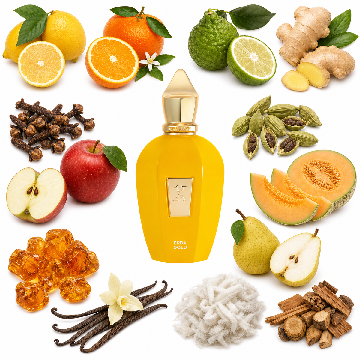 Xerjoff Erba Gold with scent notes