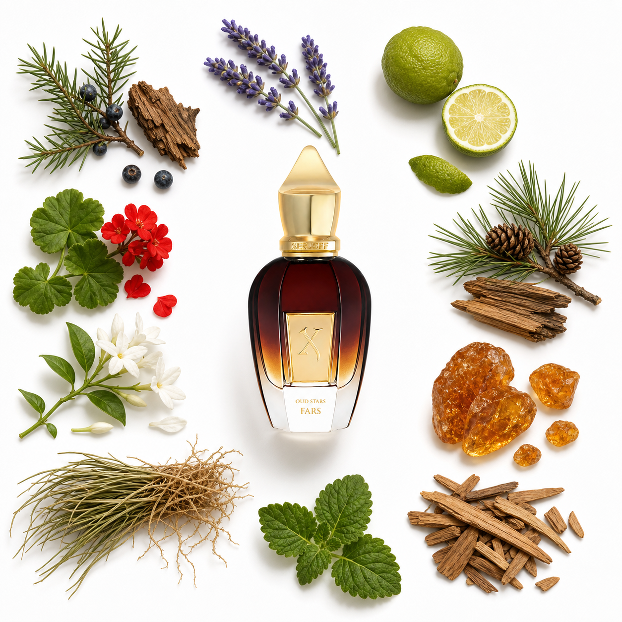 Xerjoff Fars 50 ml with scent notes