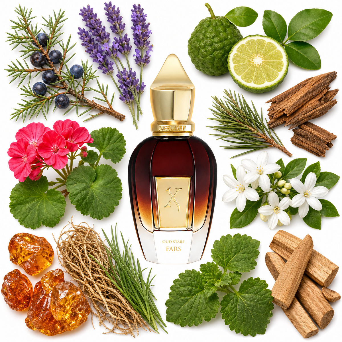 Xerjoff Fars with scent notes