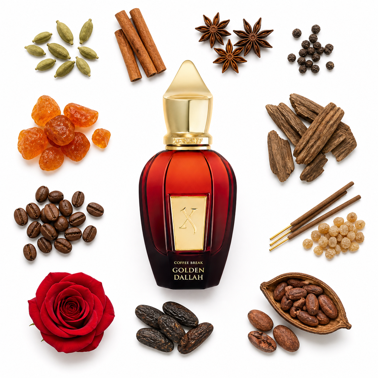 Xerjoff Golden Dallah 50 ml with scent notes