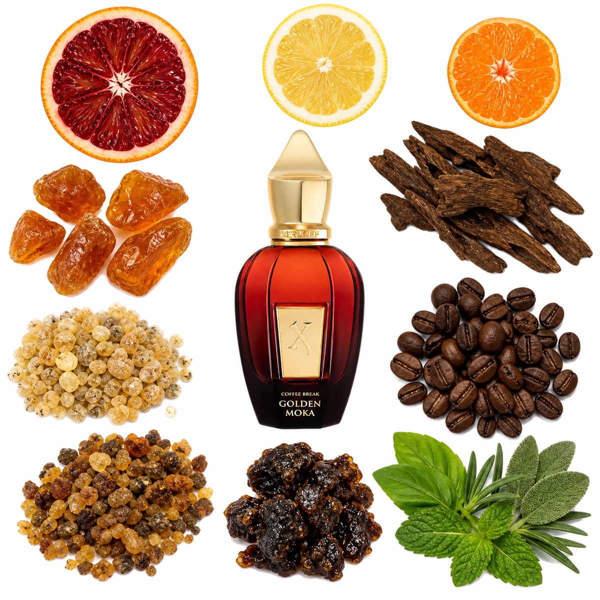 Xerjoff Golden Moka with scent notes
