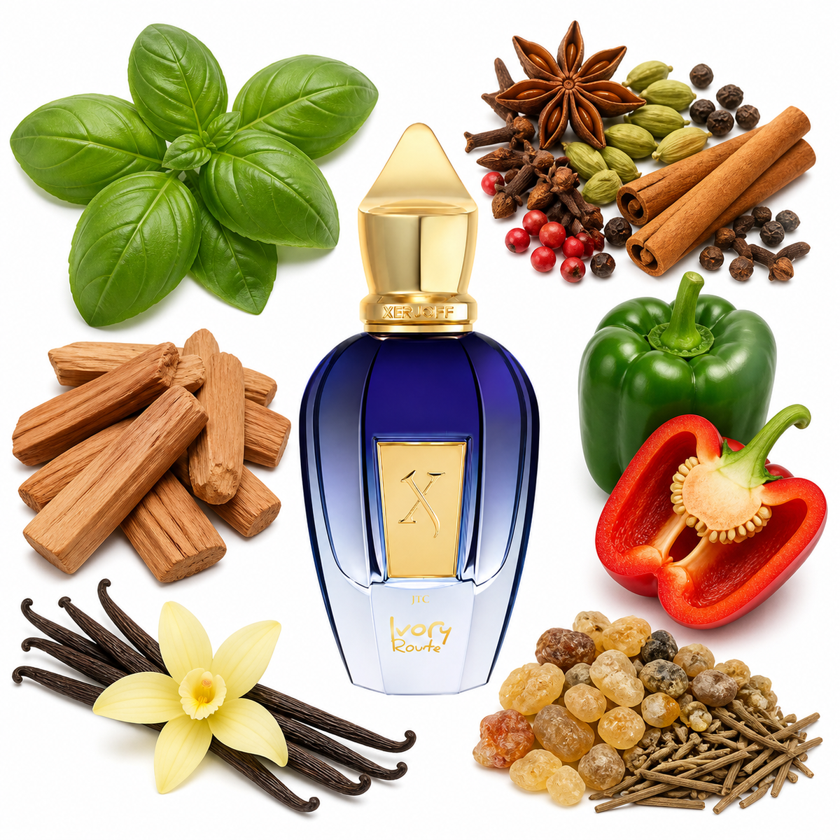 Xerjoff Ivory Route with scent notes
