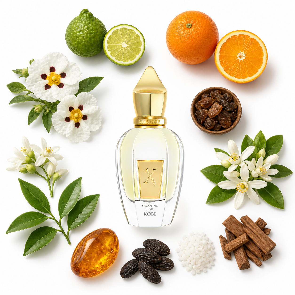 Xerjoff Kobe 50 ml with scent notes