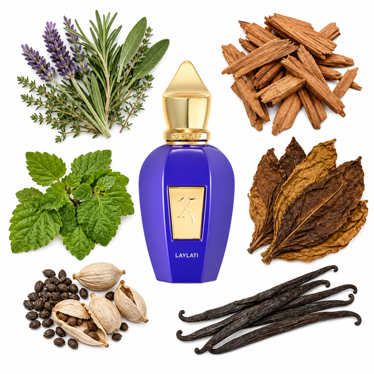 Xerjoff Laylati with scent notes