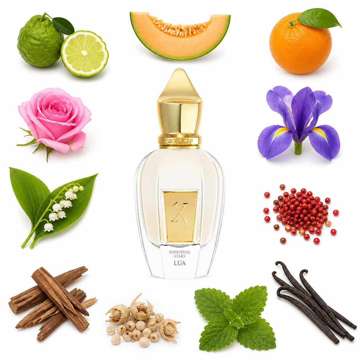 Xerjoff Lua 50 ml with scent notes
