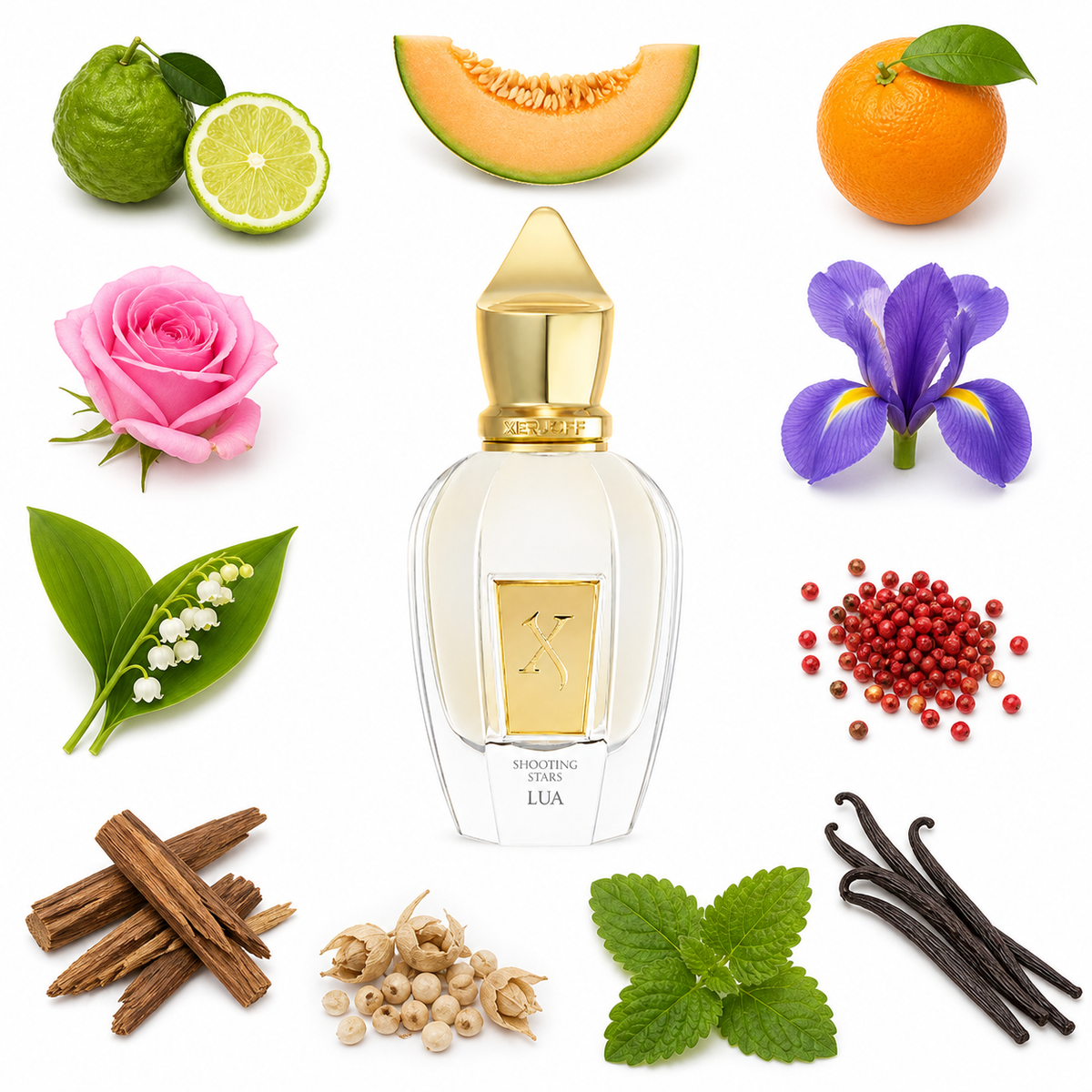Xerjoff Lua 50 ml with scent notes