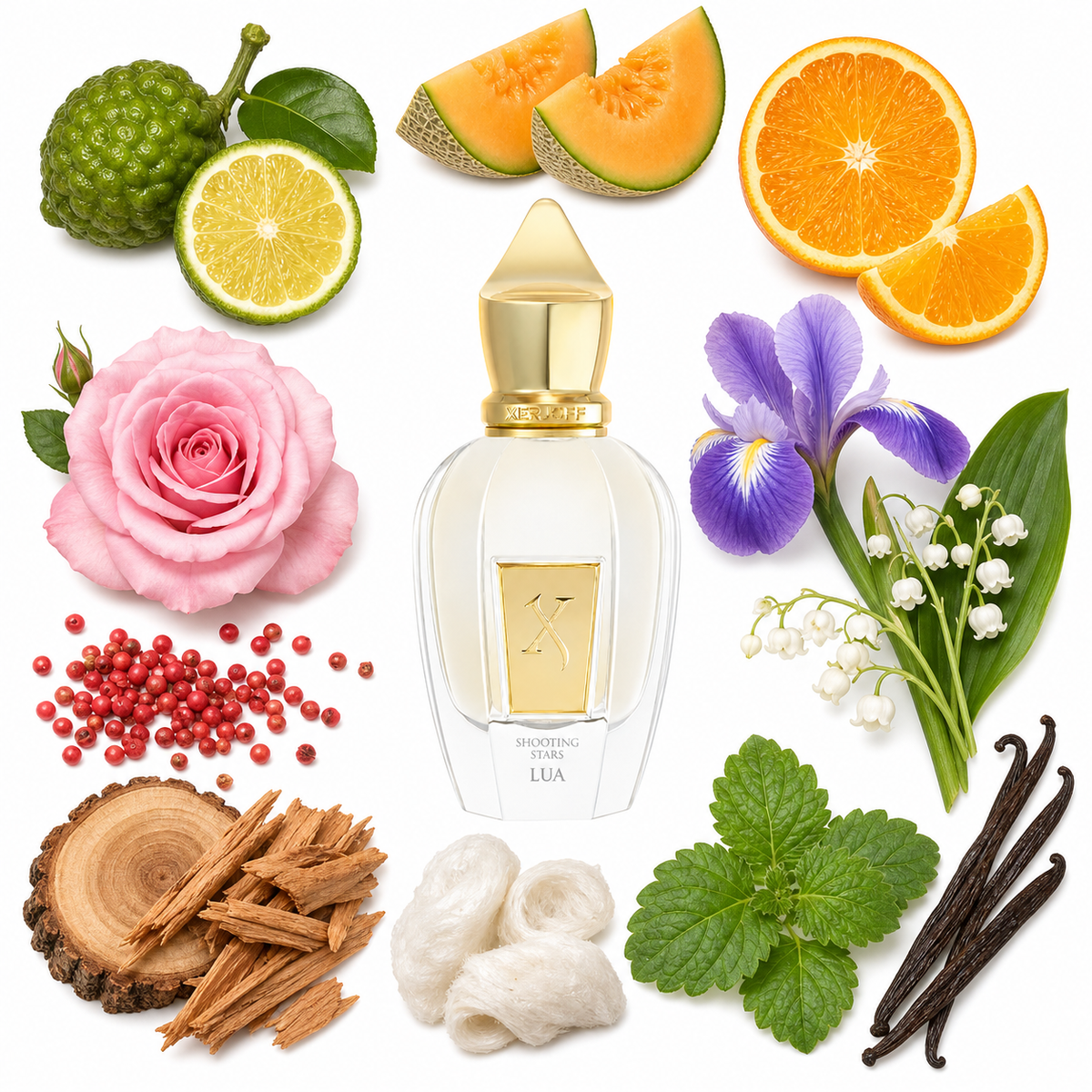 Xerjoff Lua with scent notes