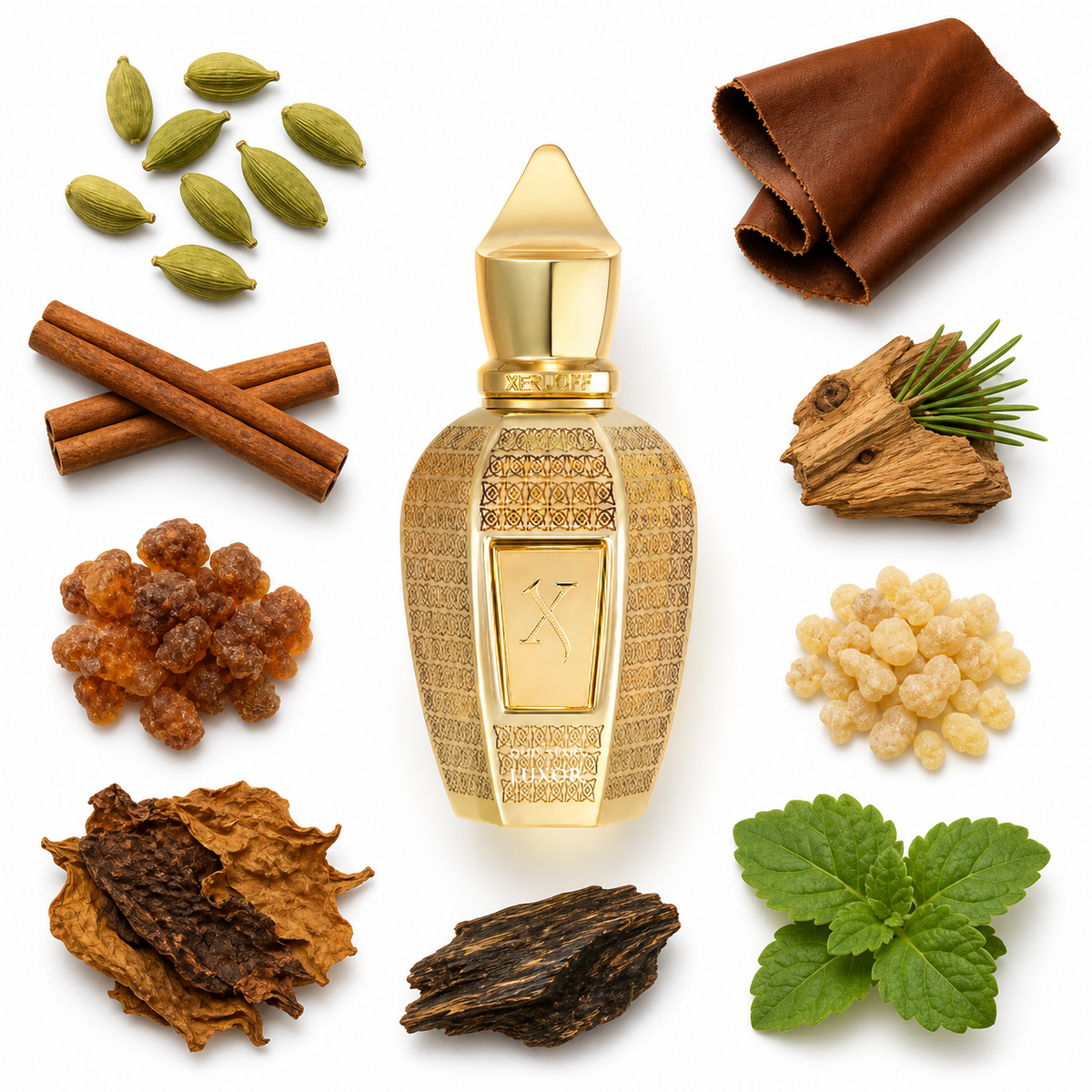 Xerjoff Luxor 50 ml with scent notes