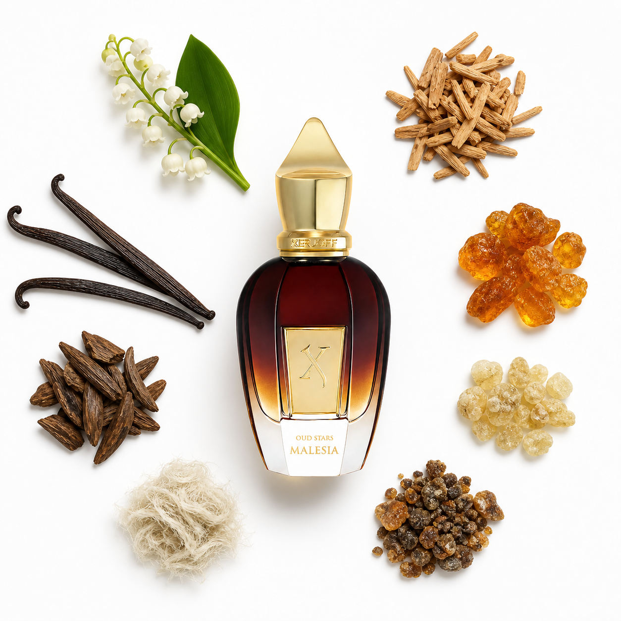 Xerjoff Malesia 50 ml with scent notes