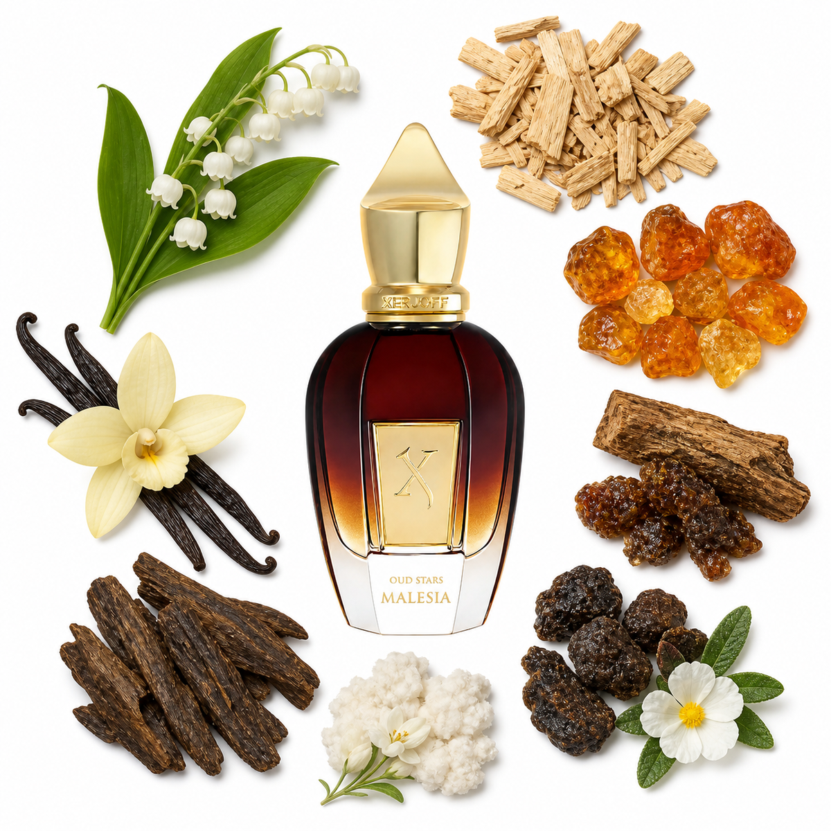 Xerjoff Malesia with scent notes