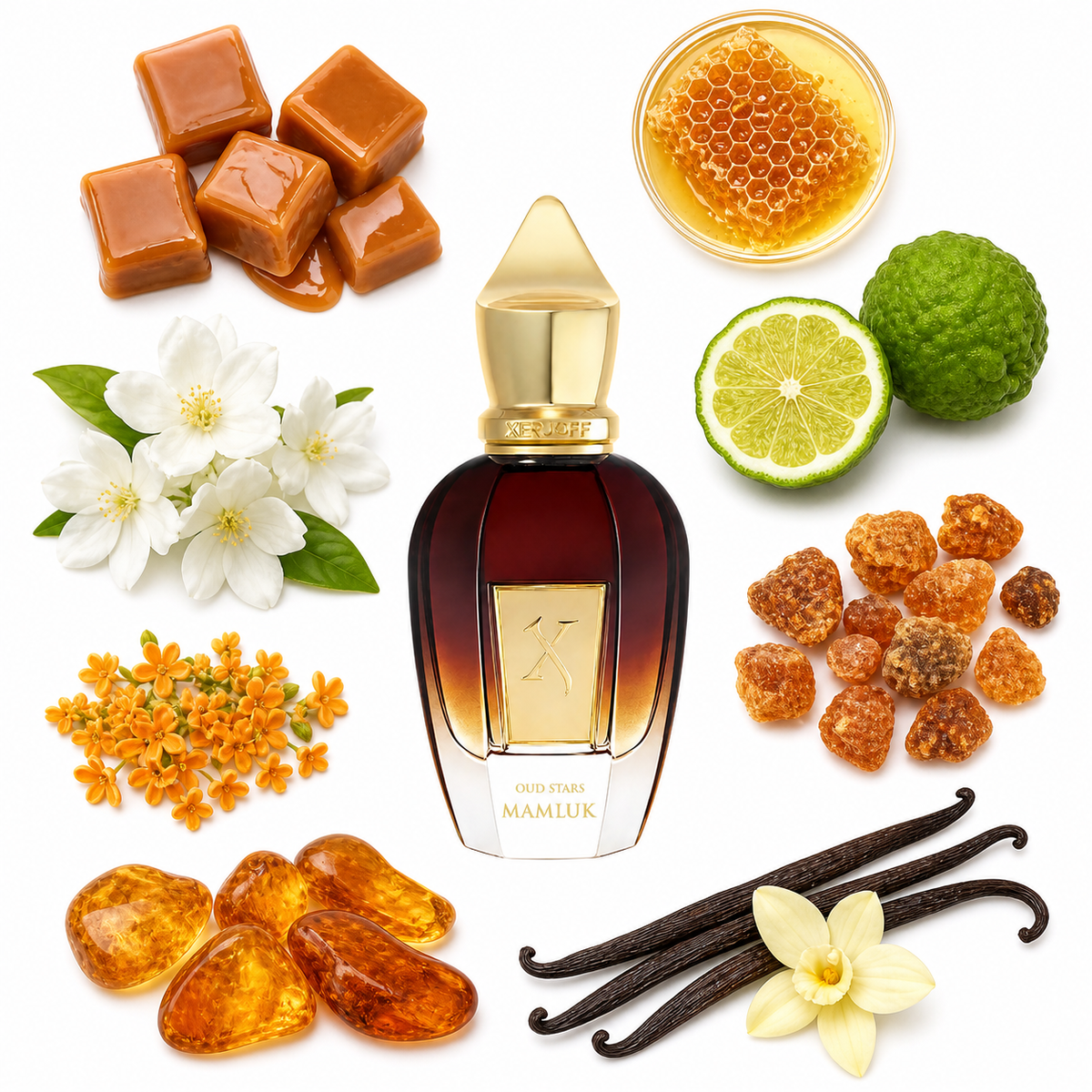 Xerjoff Mamluk with scent notes