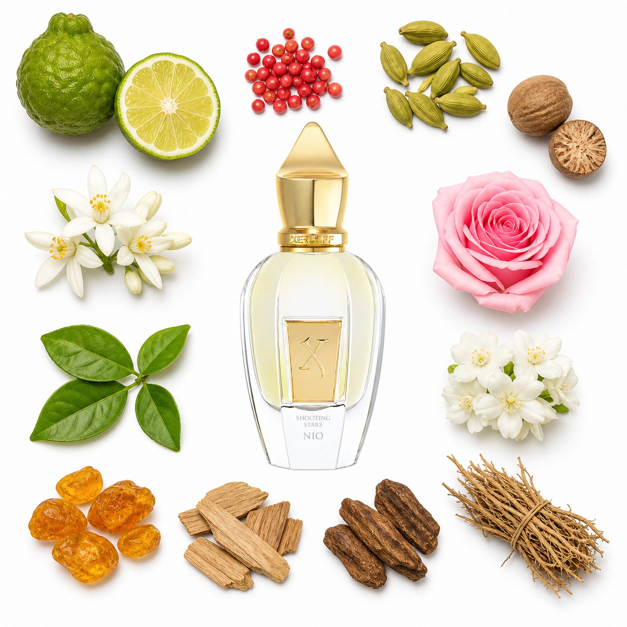 Xerjoff Nio 50 ml with scent notes
