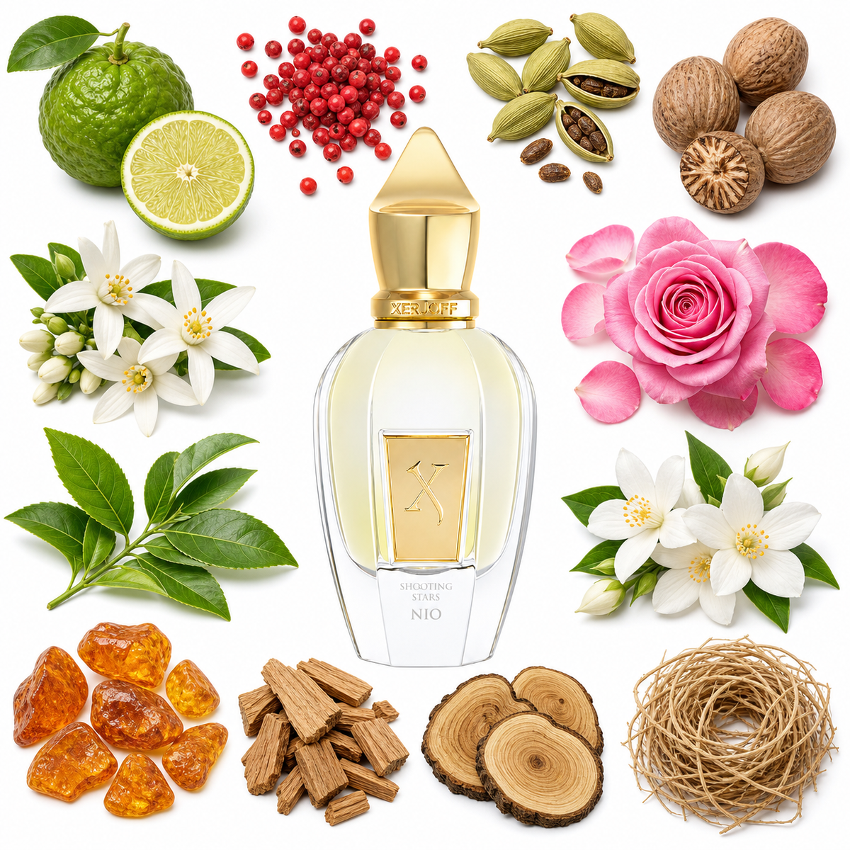 Xerjoff Nio with scent notes