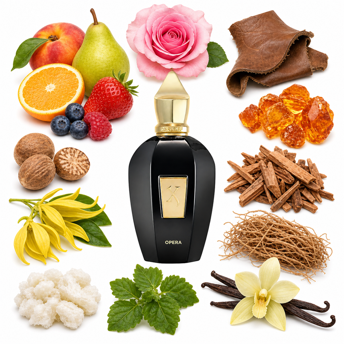 Xerjoff Opera with scent notes